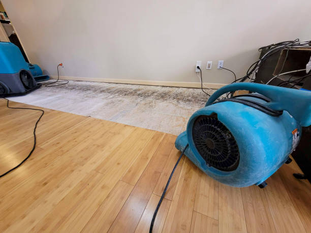 Professional Ceiling Water Damage Repair technician working in Delavan, MN